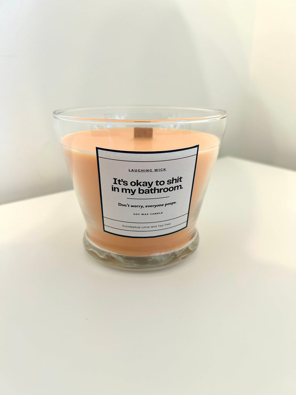 It's okay to shit in my bathroom.
