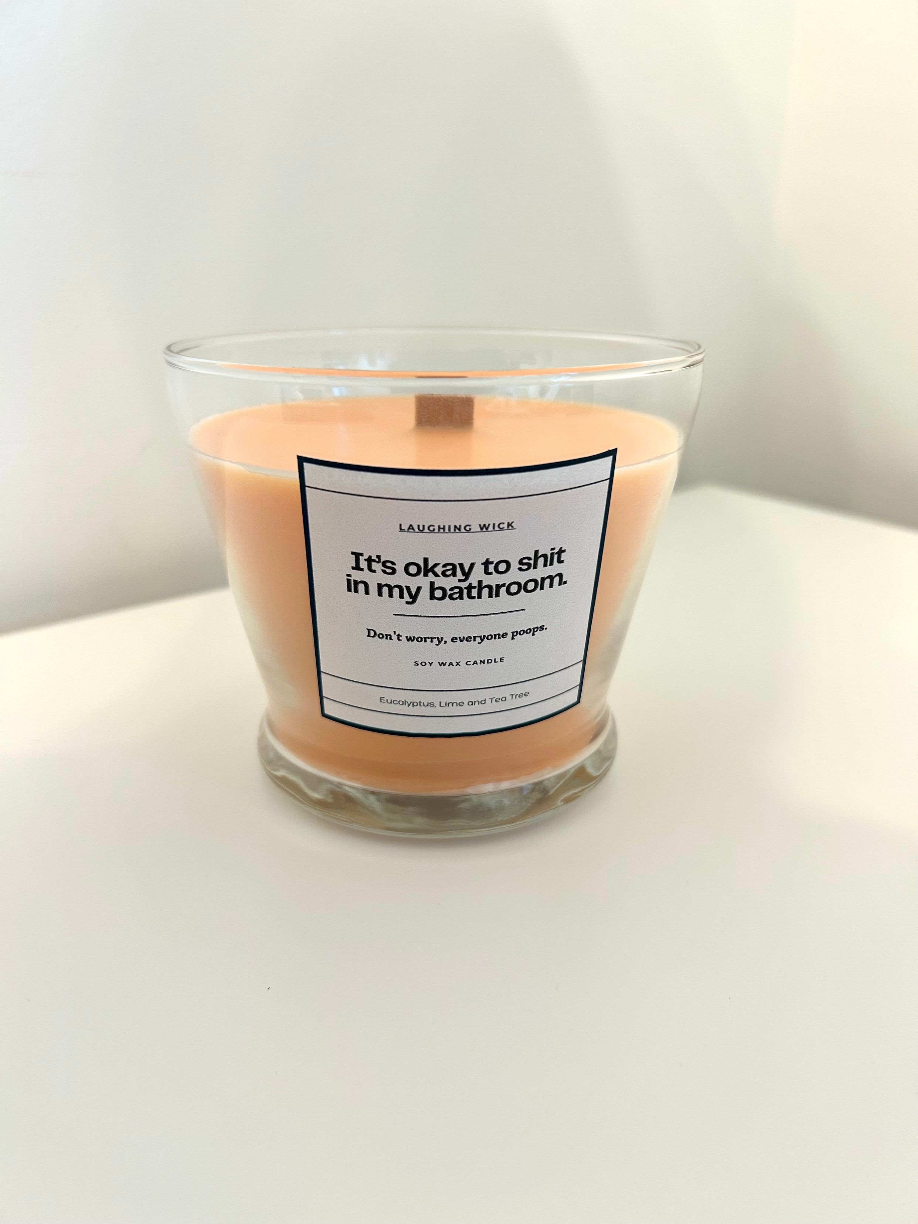 It's okay to shit in my bathroom.