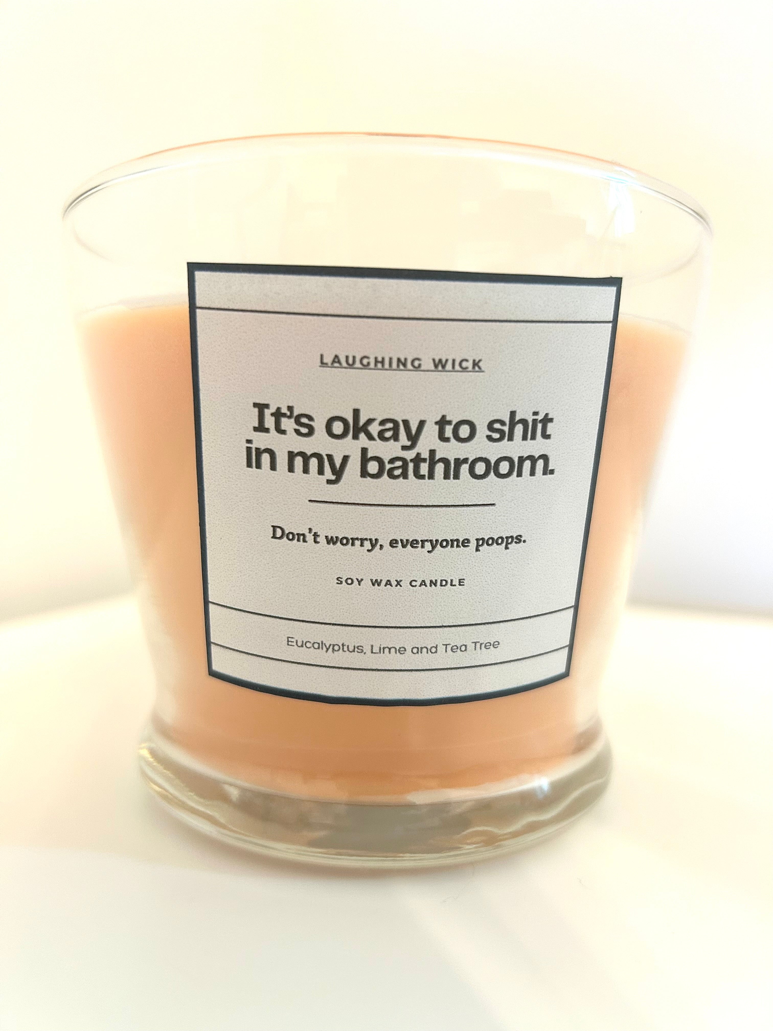 It's okay to shit in my bathroom.