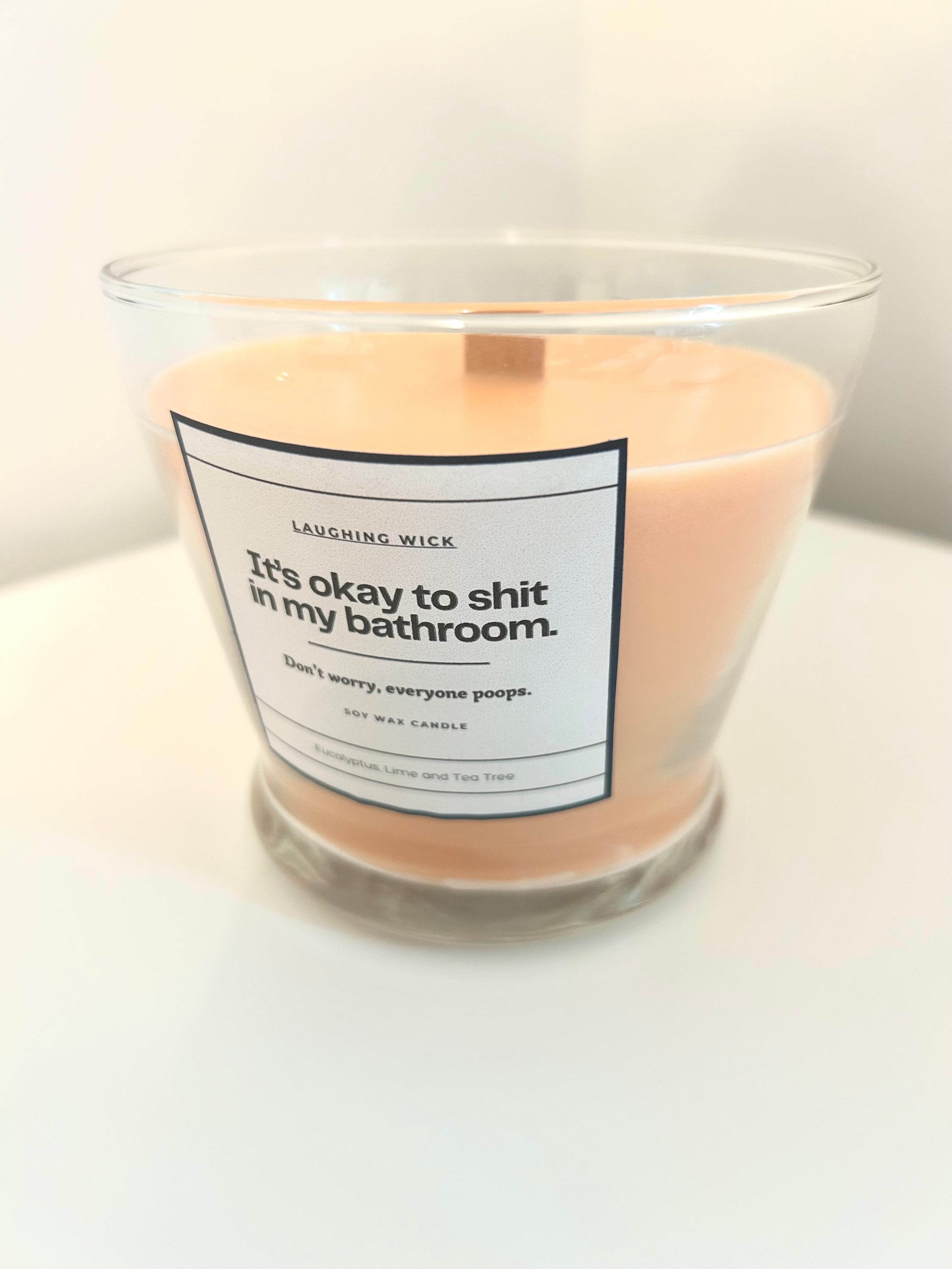 It's okay to shit in my bathroom.