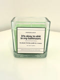 It's okay to shit in my bathroom.