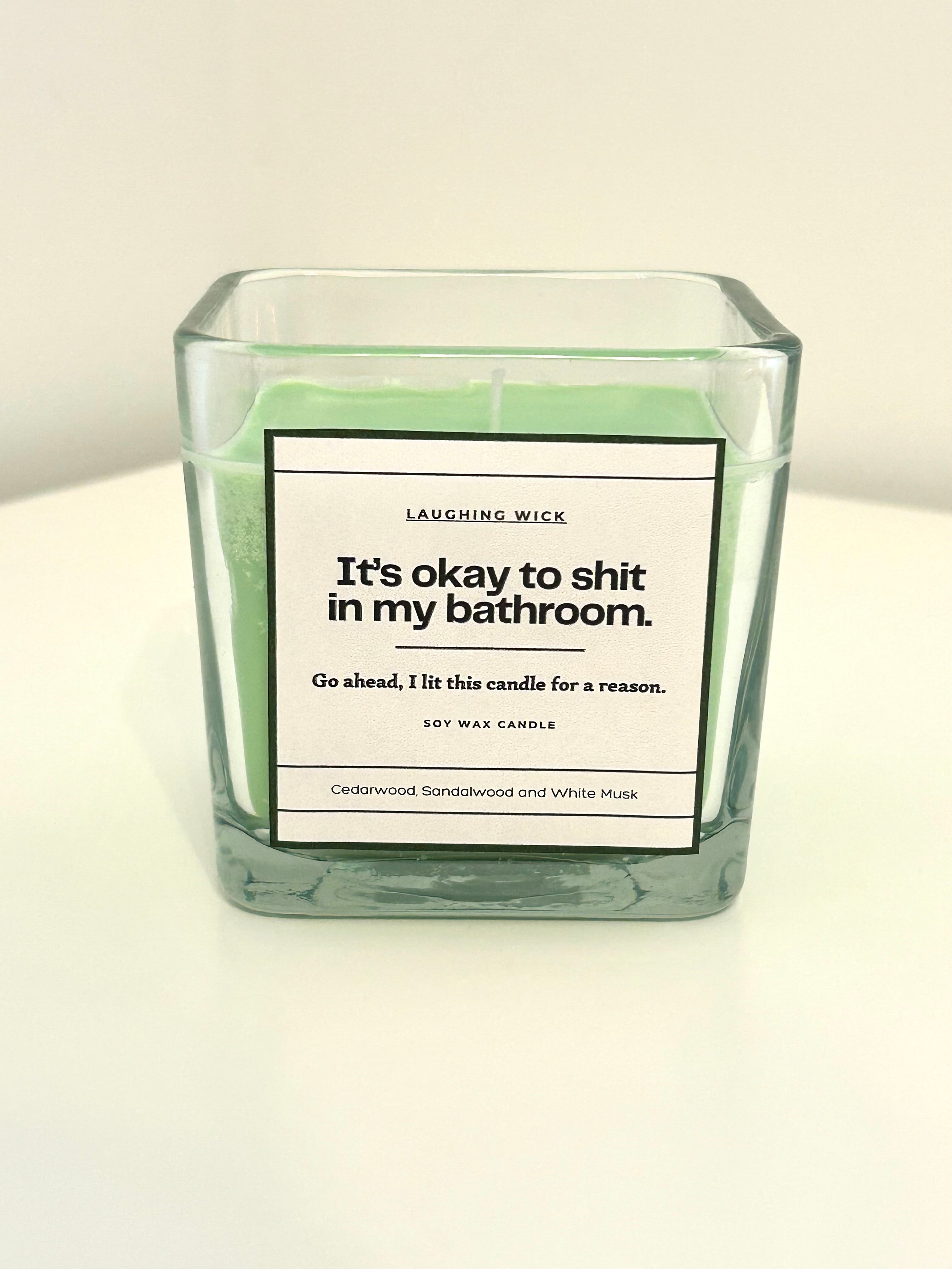 It's okay to shit in my bathroom.