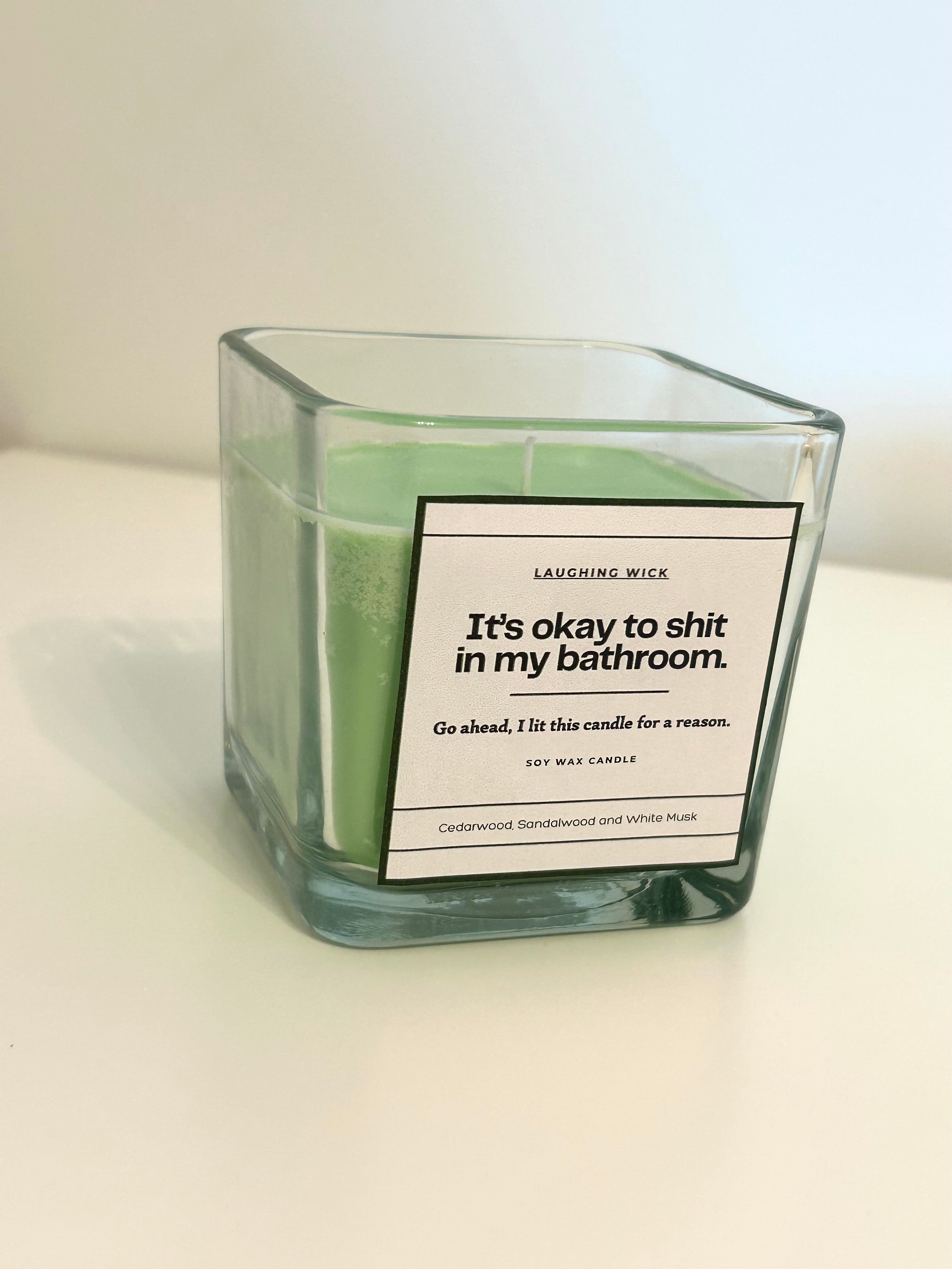 It's okay to shit in my bathroom.