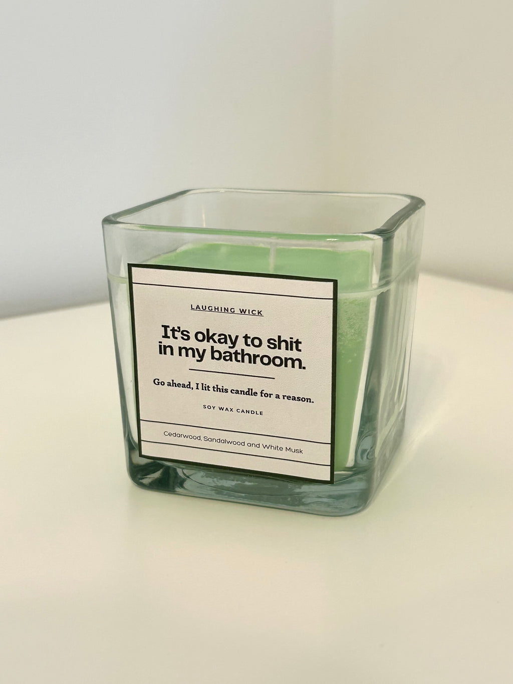 It's okay to shit in my bathroom.