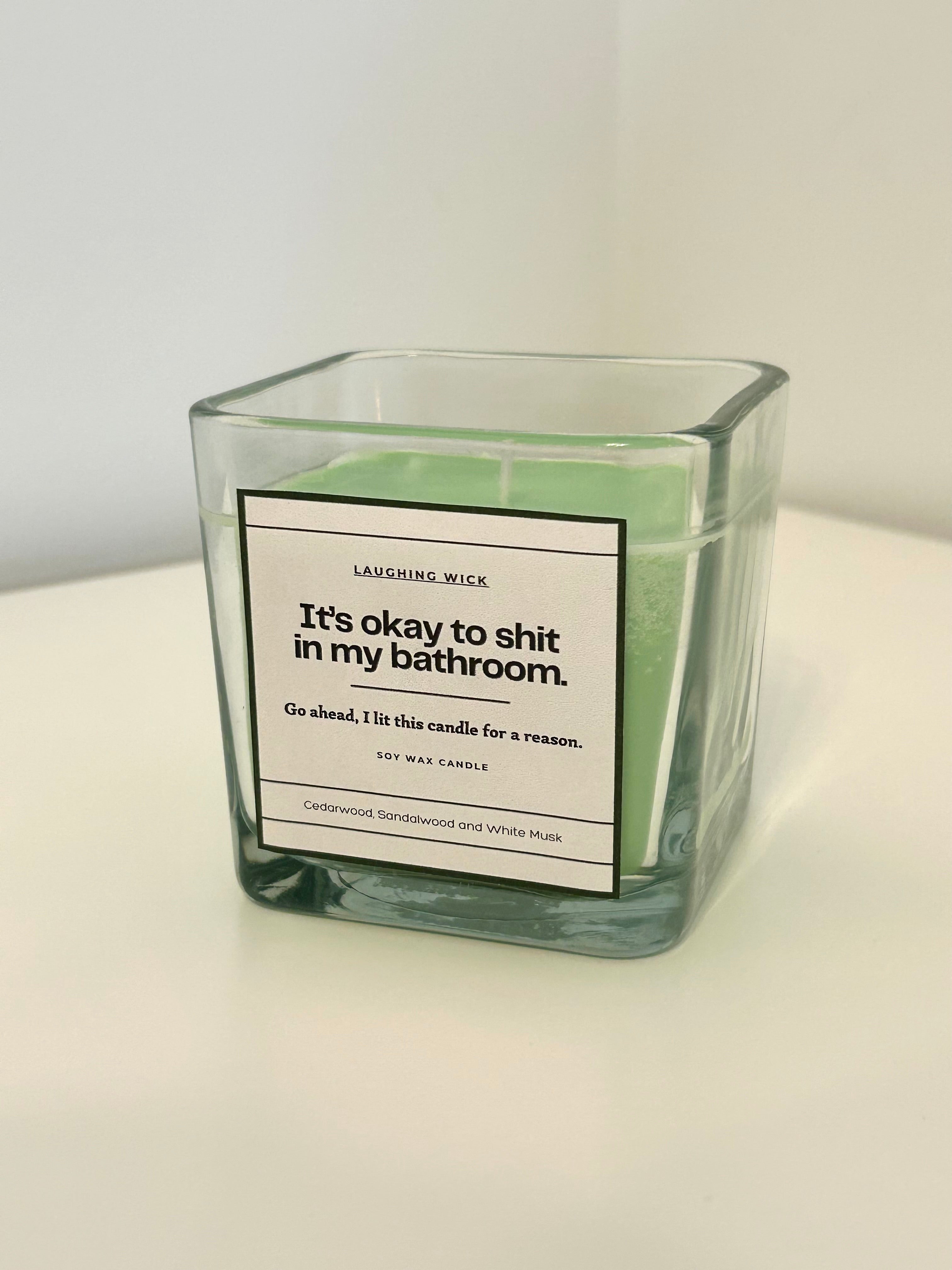 It's okay to shit in my bathroom.