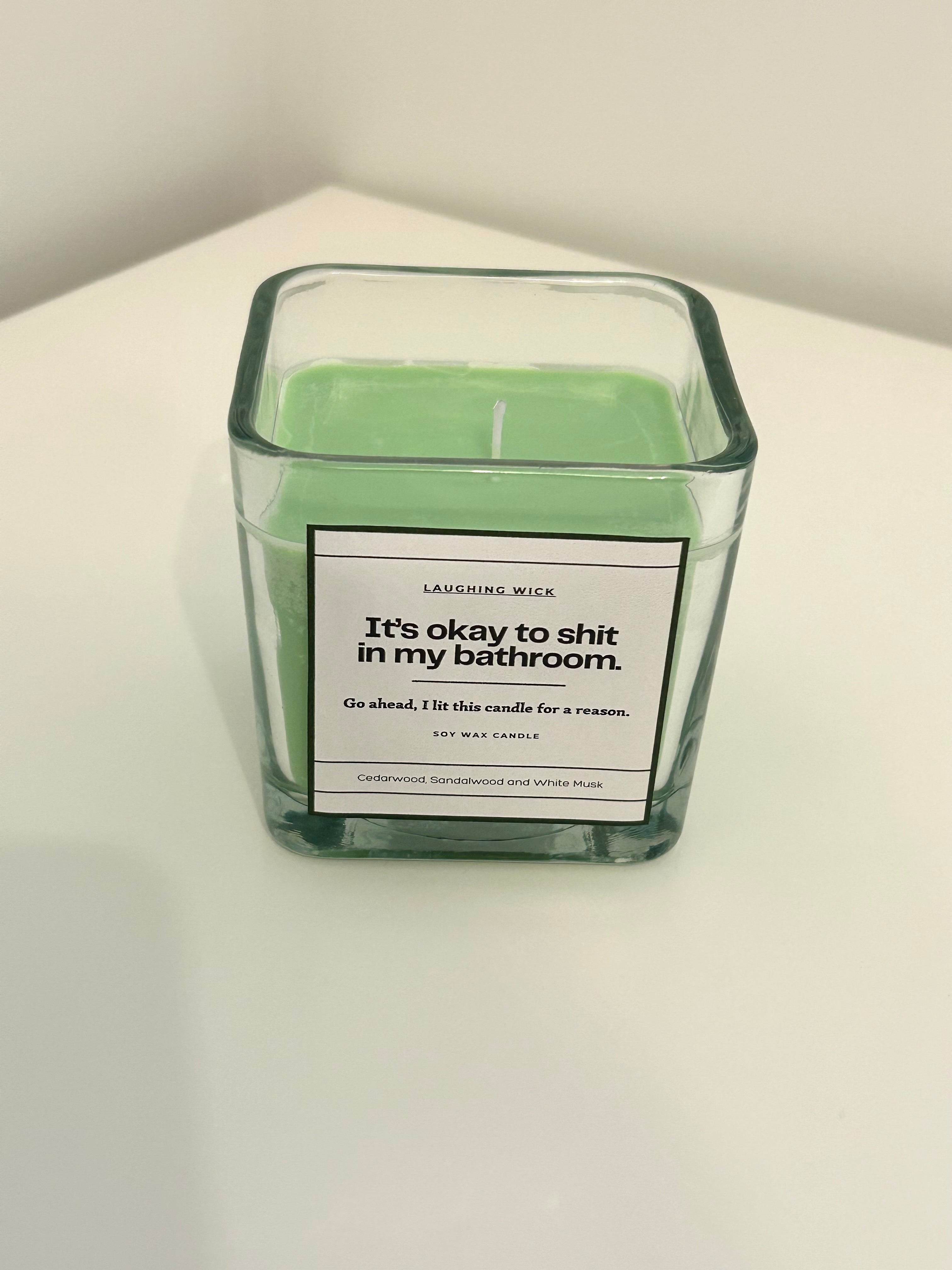 It's okay to shit in my bathroom.