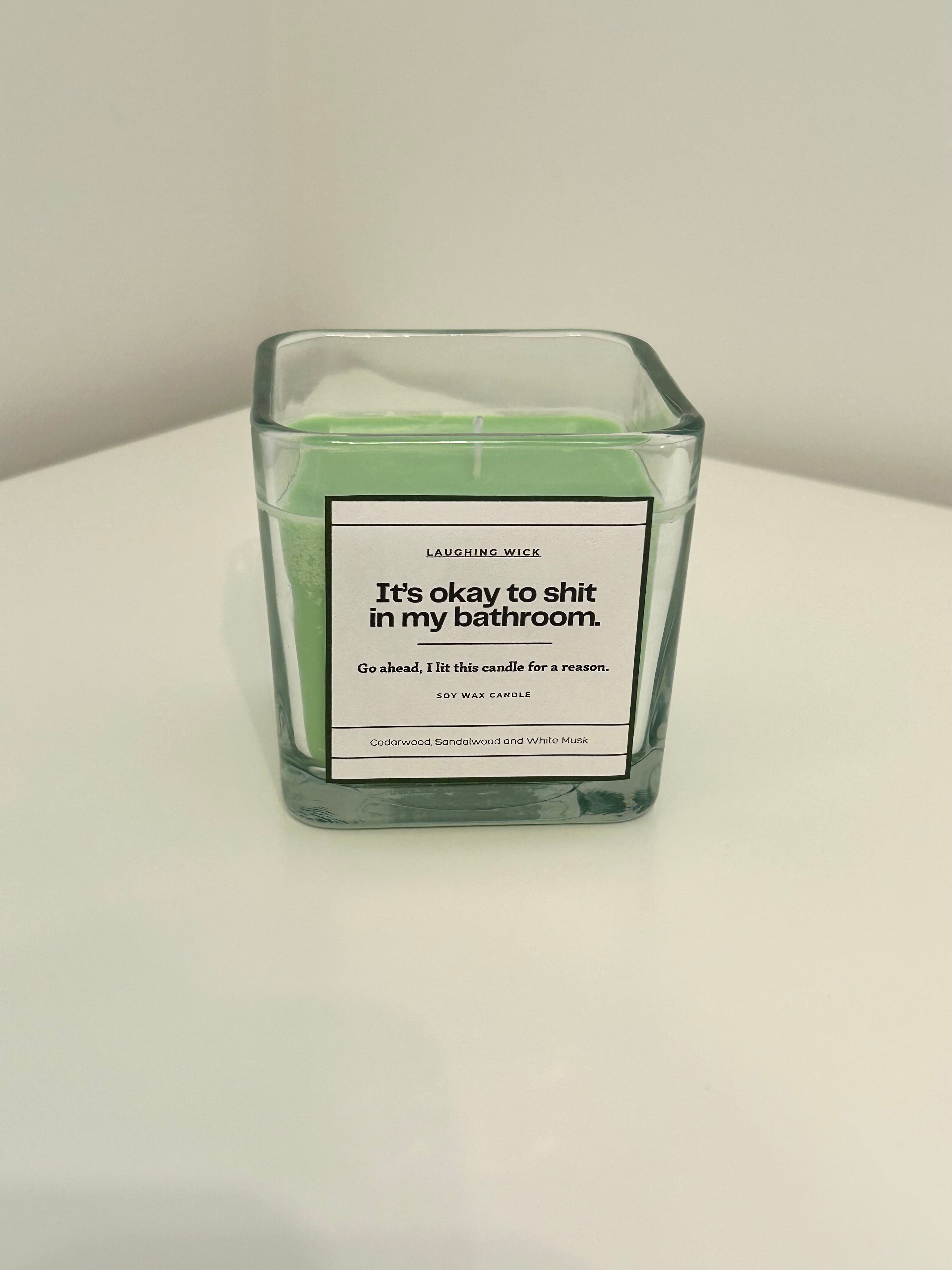 It's okay to shit in my bathroom.